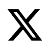 X Icon